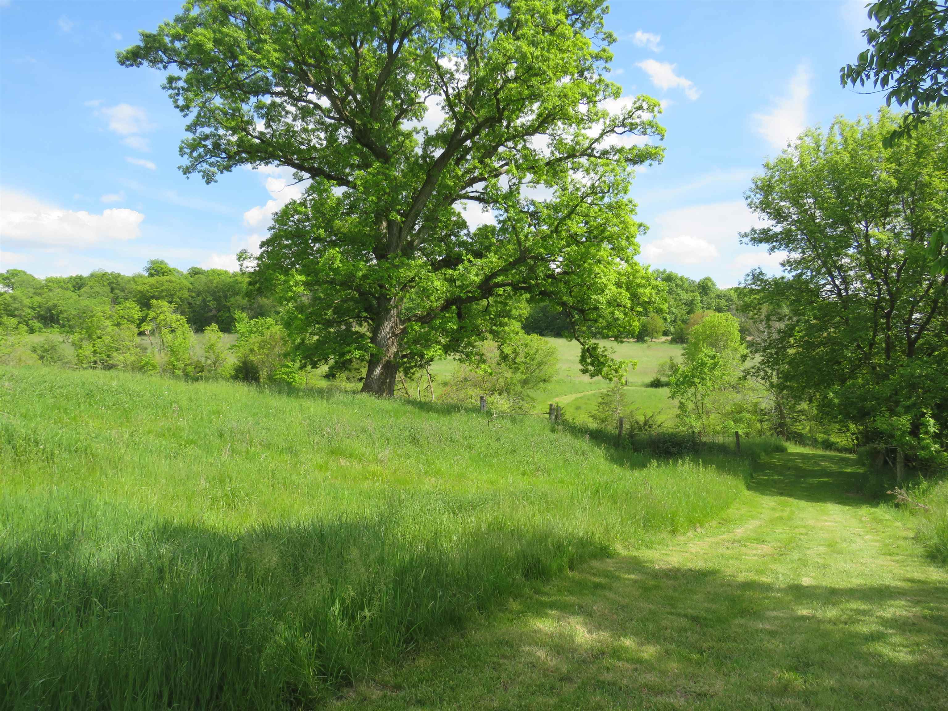 1139 Highway 20 Elizabeth, IL 61028 - Photo 64 of 88