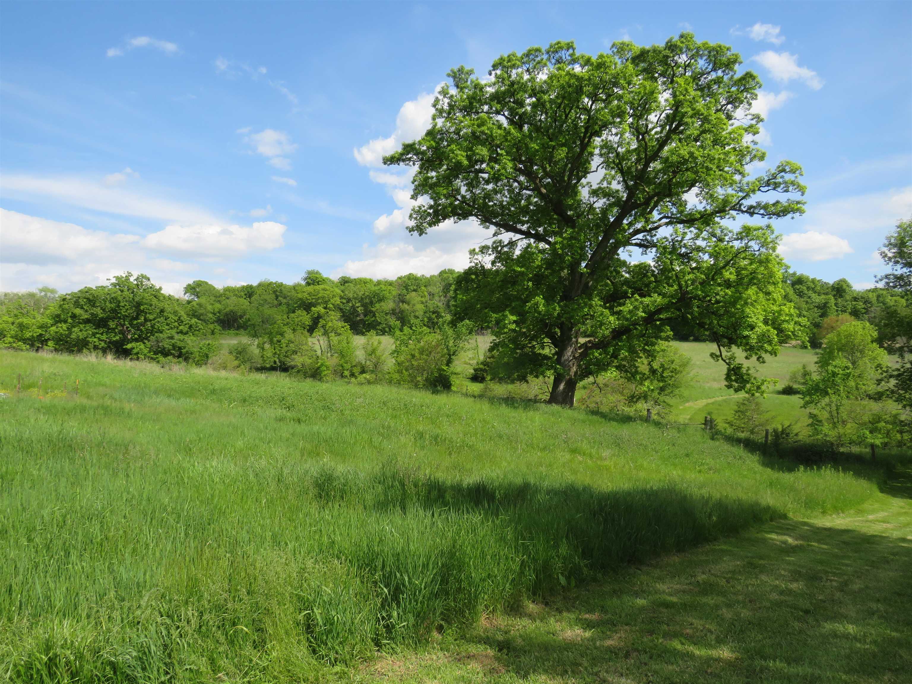 1139 Highway 20 Elizabeth, IL 61028 - Photo 65 of 88