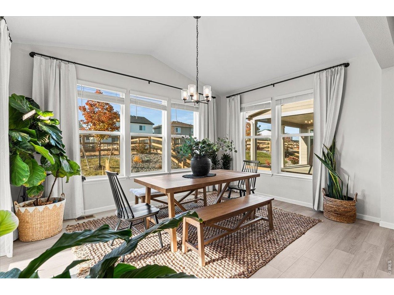 946 Rustling Street Windsor, CO 80550 - Photo 22 of 50