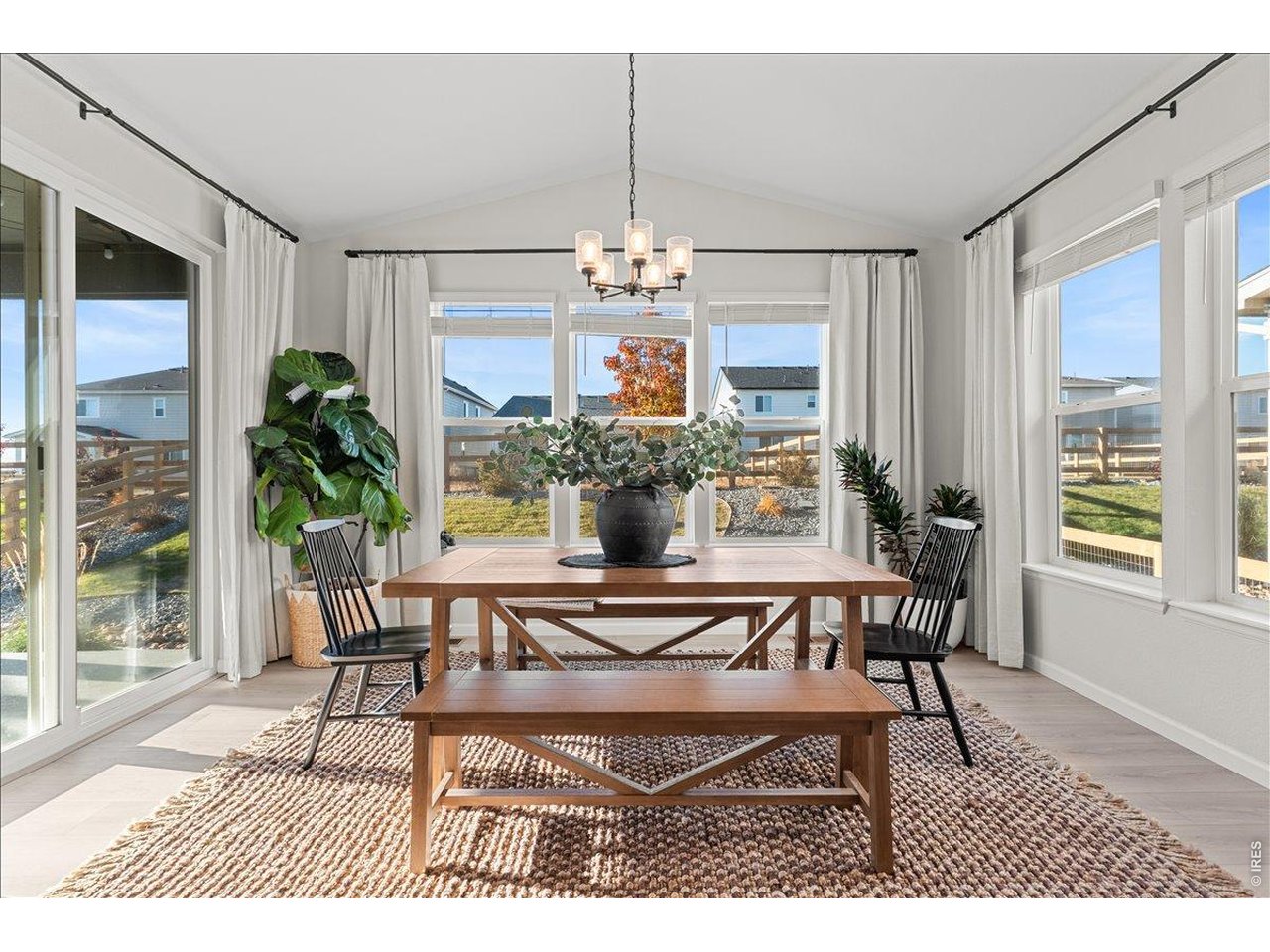 946 Rustling Street Windsor, CO 80550 - Photo 23 of 50