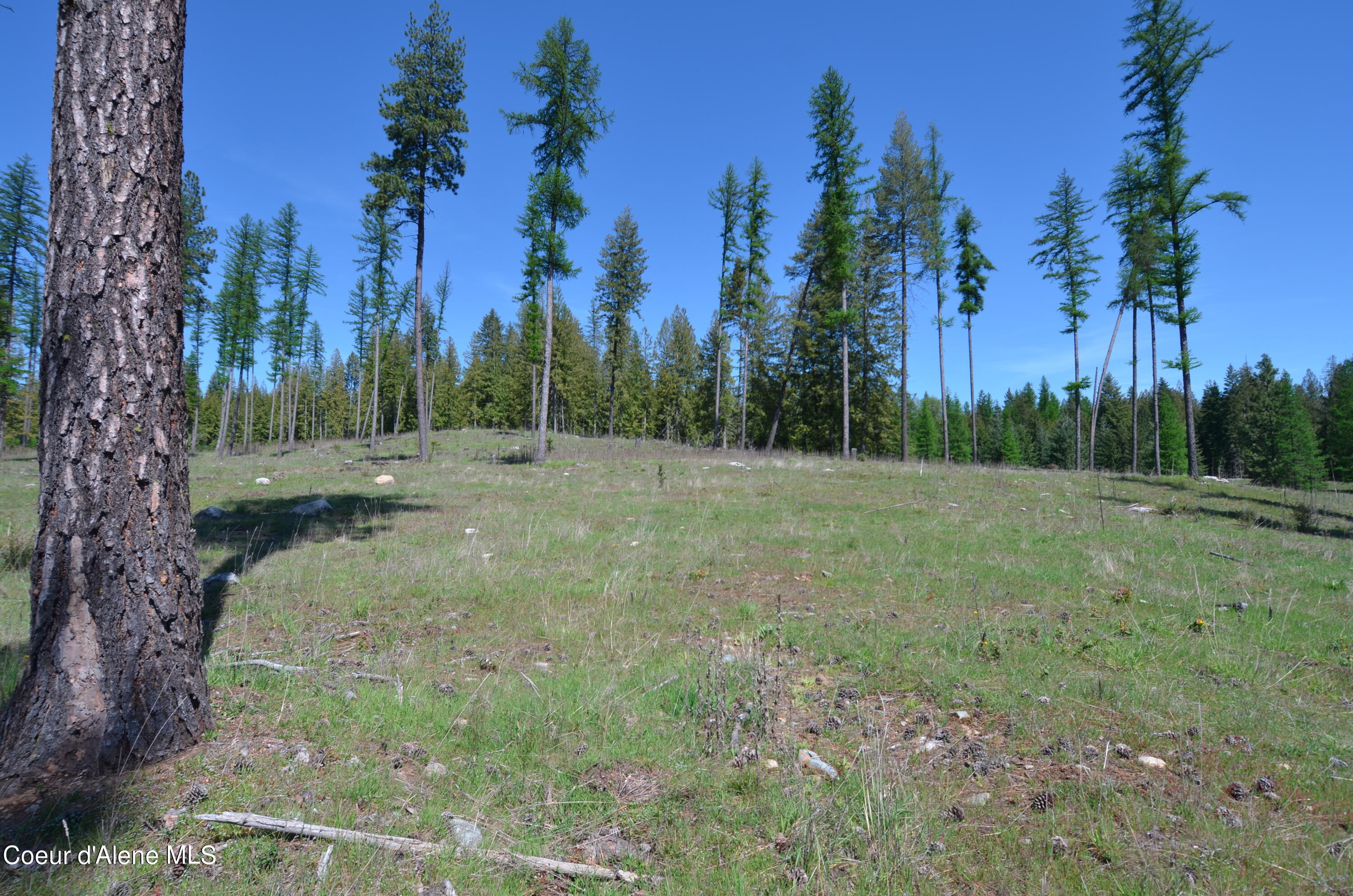 Lot 18 Camp Bay Road Sagle, ID 83860 - Photo 8 of 32 Gently Sloping Lot