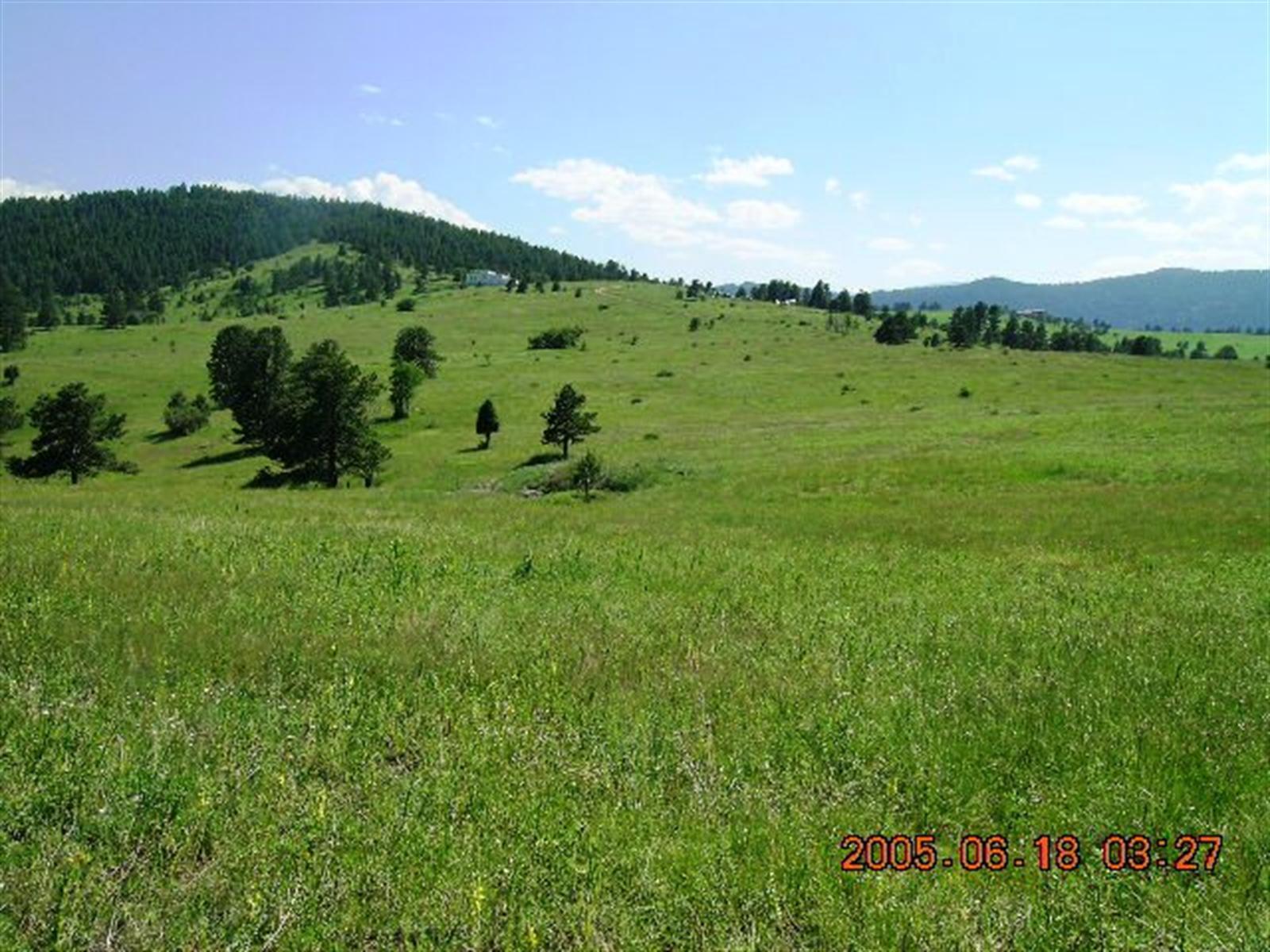 21521 Falcon Wing Road Indian Hills, CO 80454 - Photo 1 of 1 a view of a lush green outdoor space with a swimming pool and valleys in the background