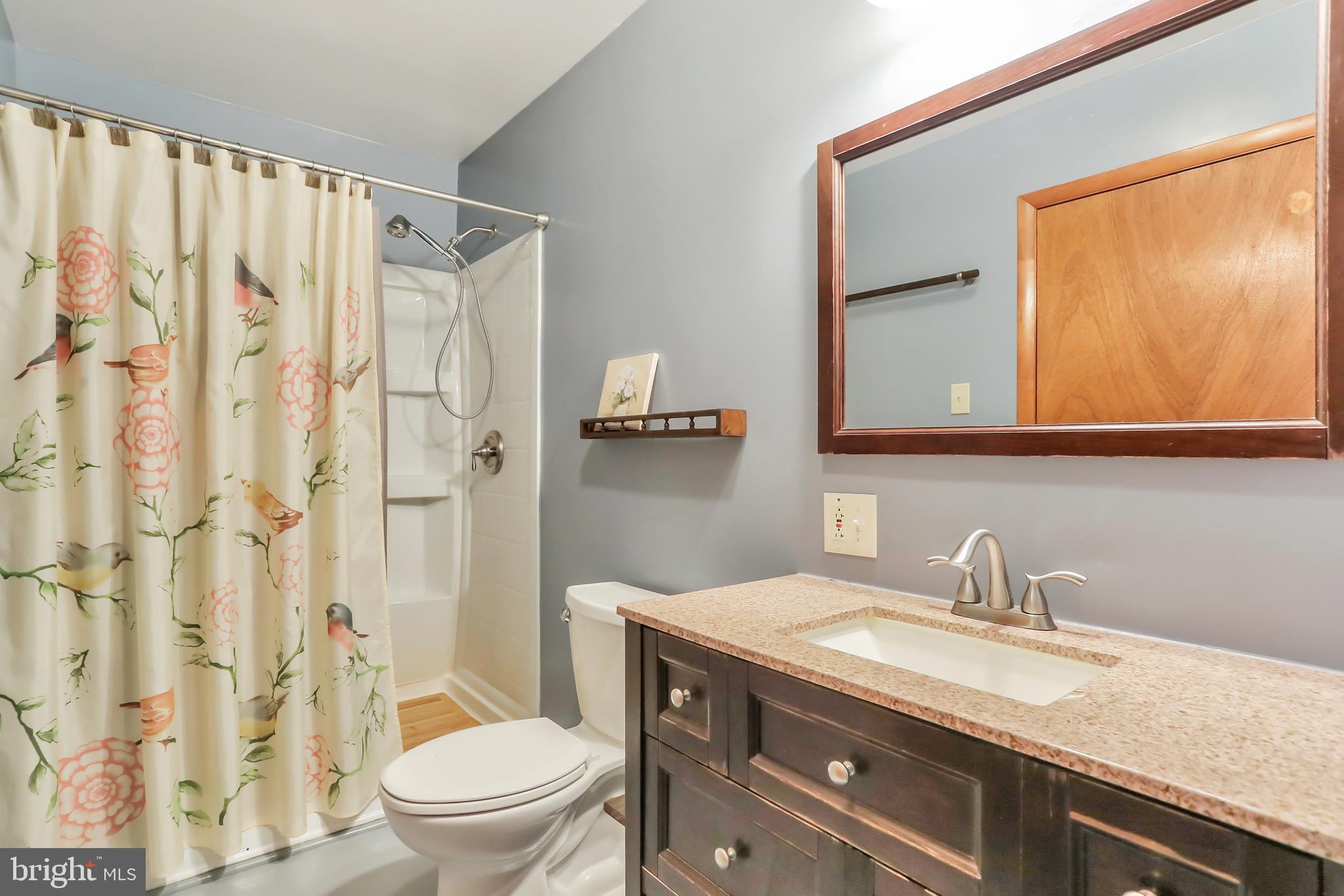 151 Blue Ridge Avenue Chester Gap, VA 22623 - Photo 18 of 47 Upstairs hall bath w owners suit access