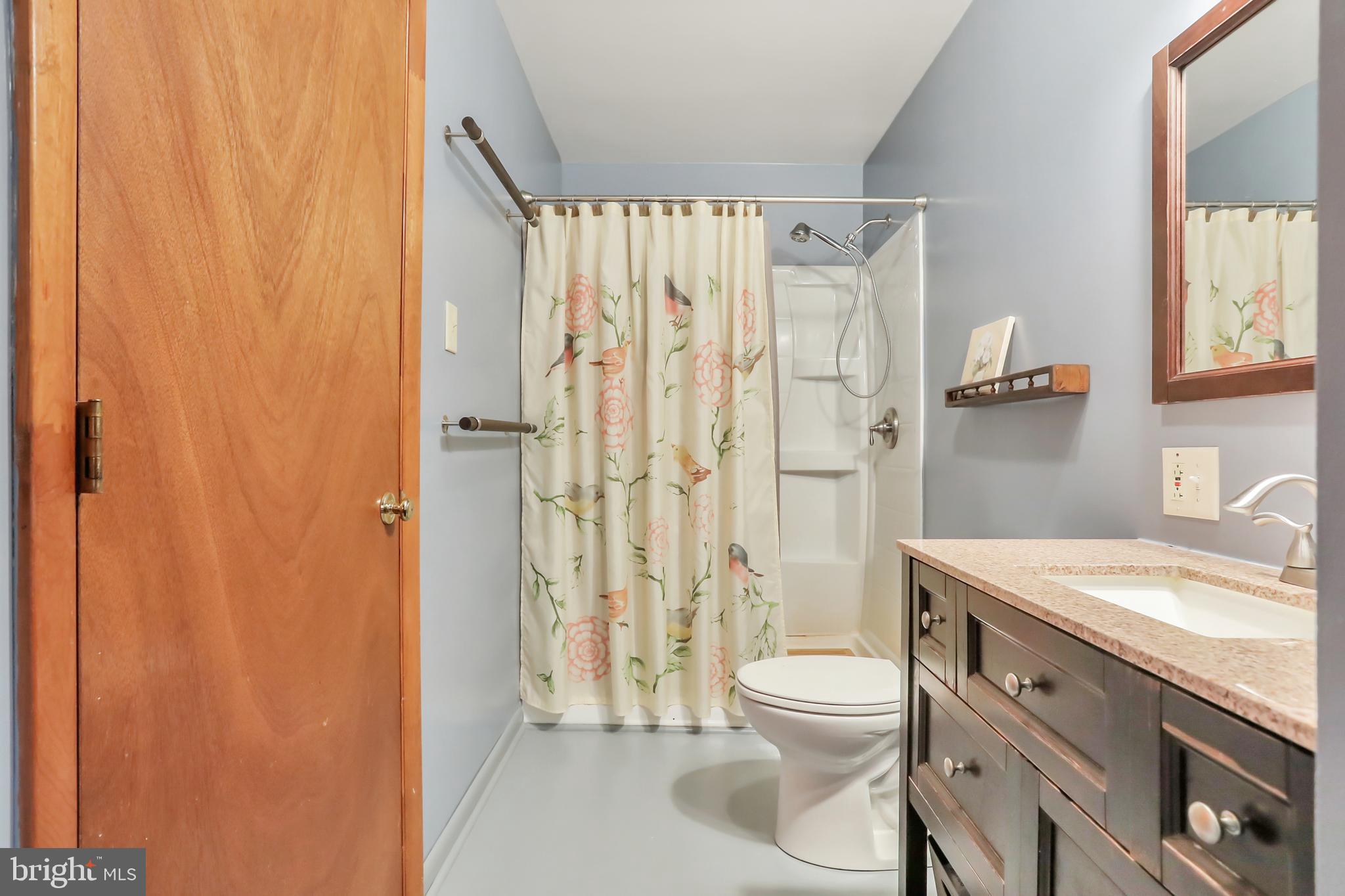 151 Blue Ridge Avenue Chester Gap, VA 22623 - Photo 19 of 47 Hall bath
