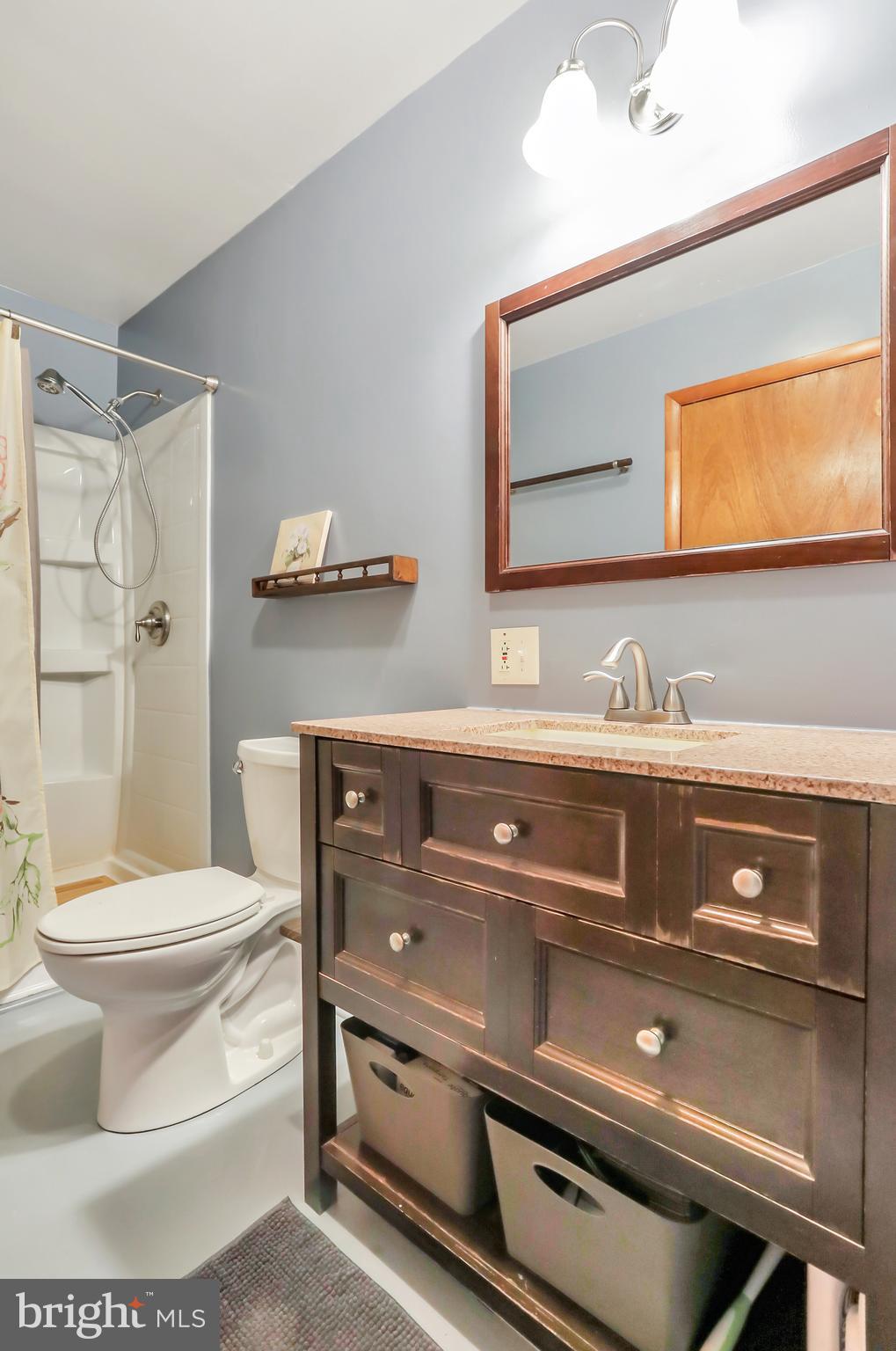 151 Blue Ridge Avenue Chester Gap, VA 22623 - Photo 20 of 47 Hall bath