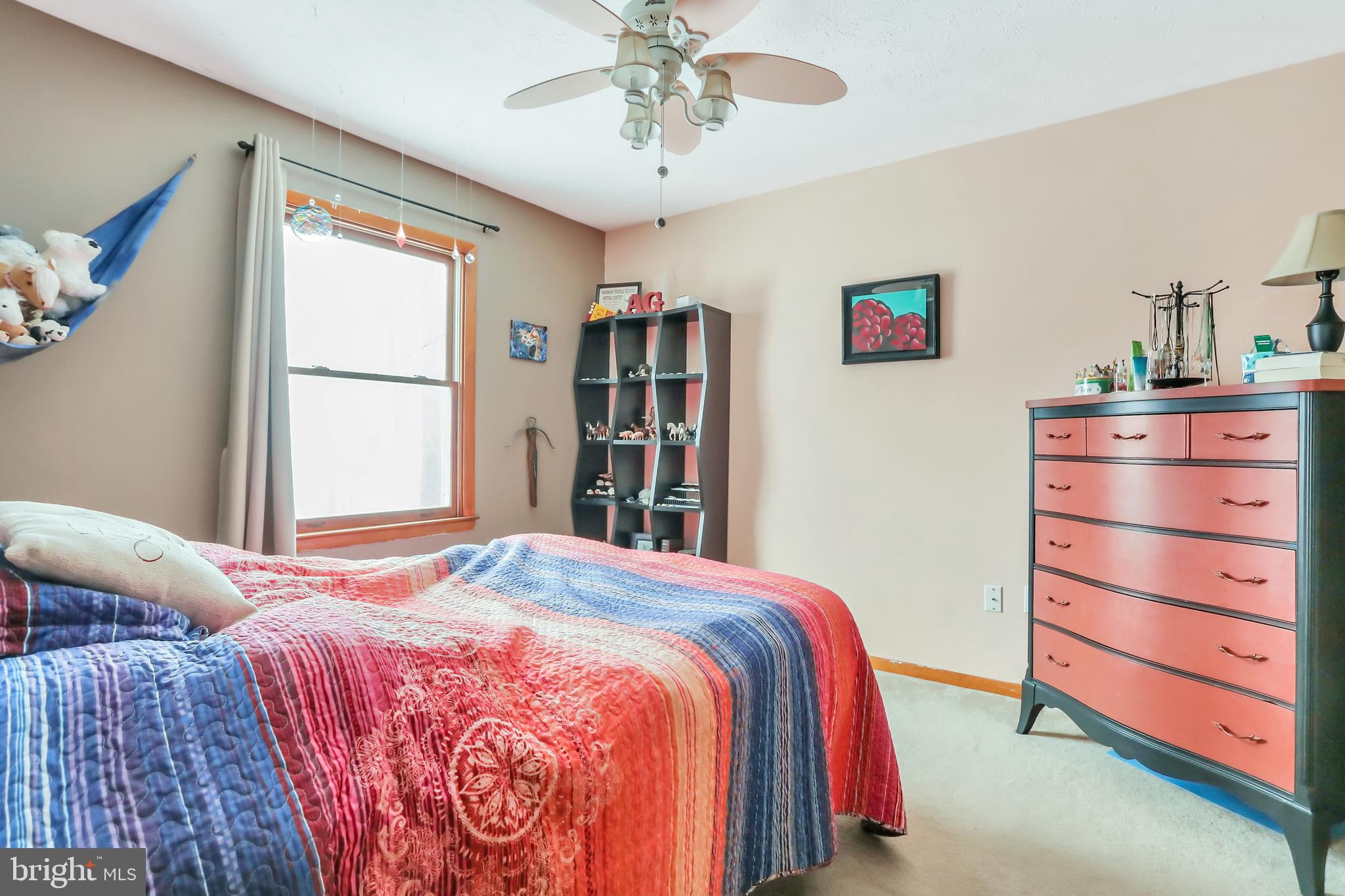 151 Blue Ridge Avenue Chester Gap, VA 22623 - Photo 23 of 47 2nd br on main floor
