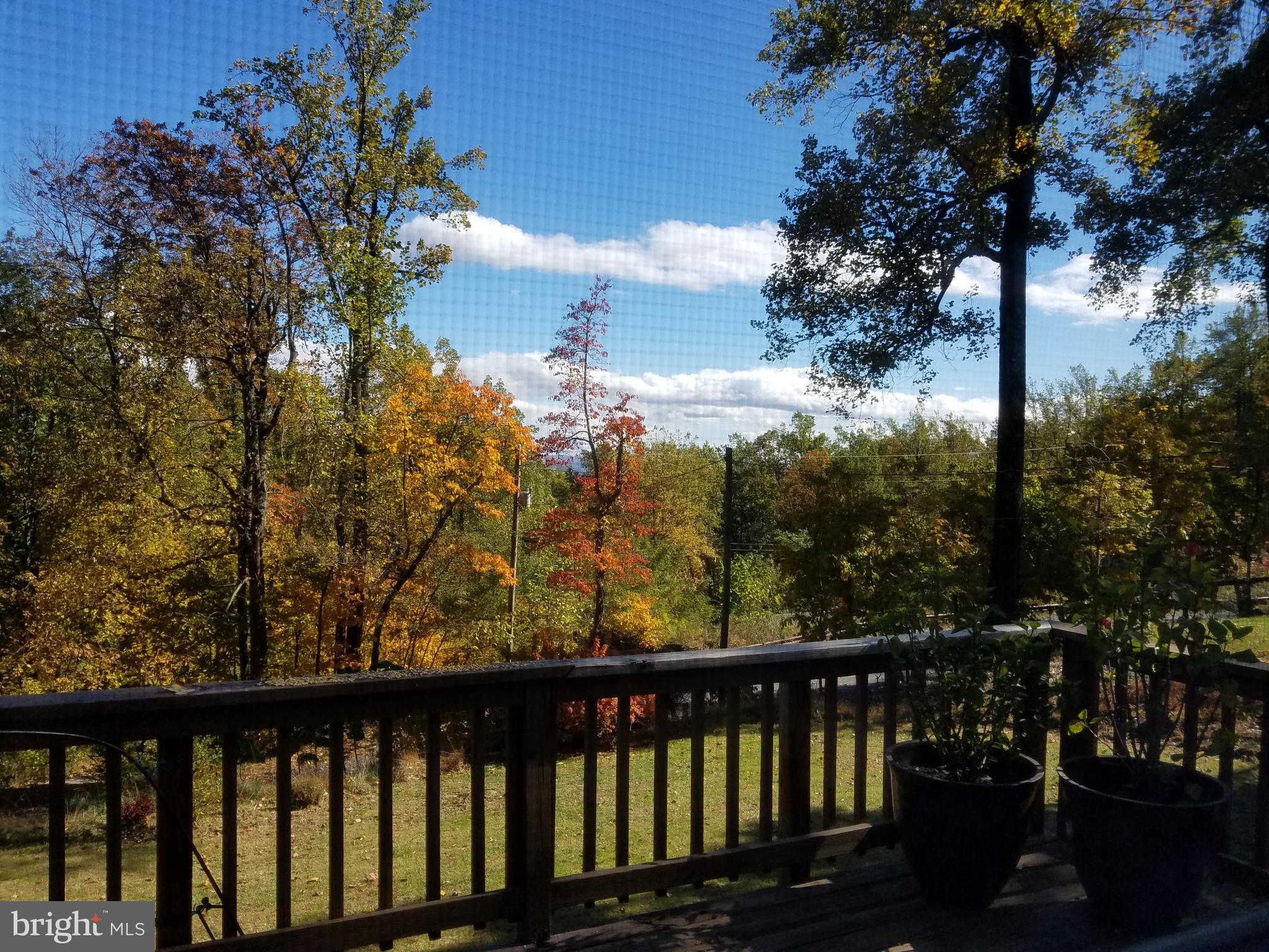 151 Blue Ridge Avenue Chester Gap, VA 22623 - Photo 25 of 47 Fall view from back deck