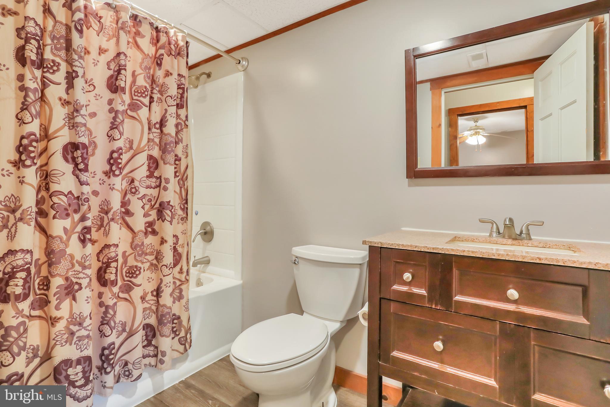 151 Blue Ridge Avenue Chester Gap, VA 22623 - Photo 30 of 47 Full bath in basement