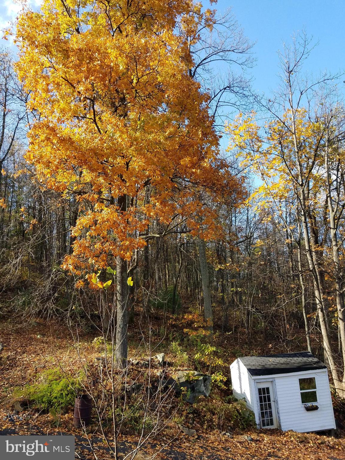 151 Blue Ridge Avenue Chester Gap, VA 22623 - Photo 38 of 47 Fall view