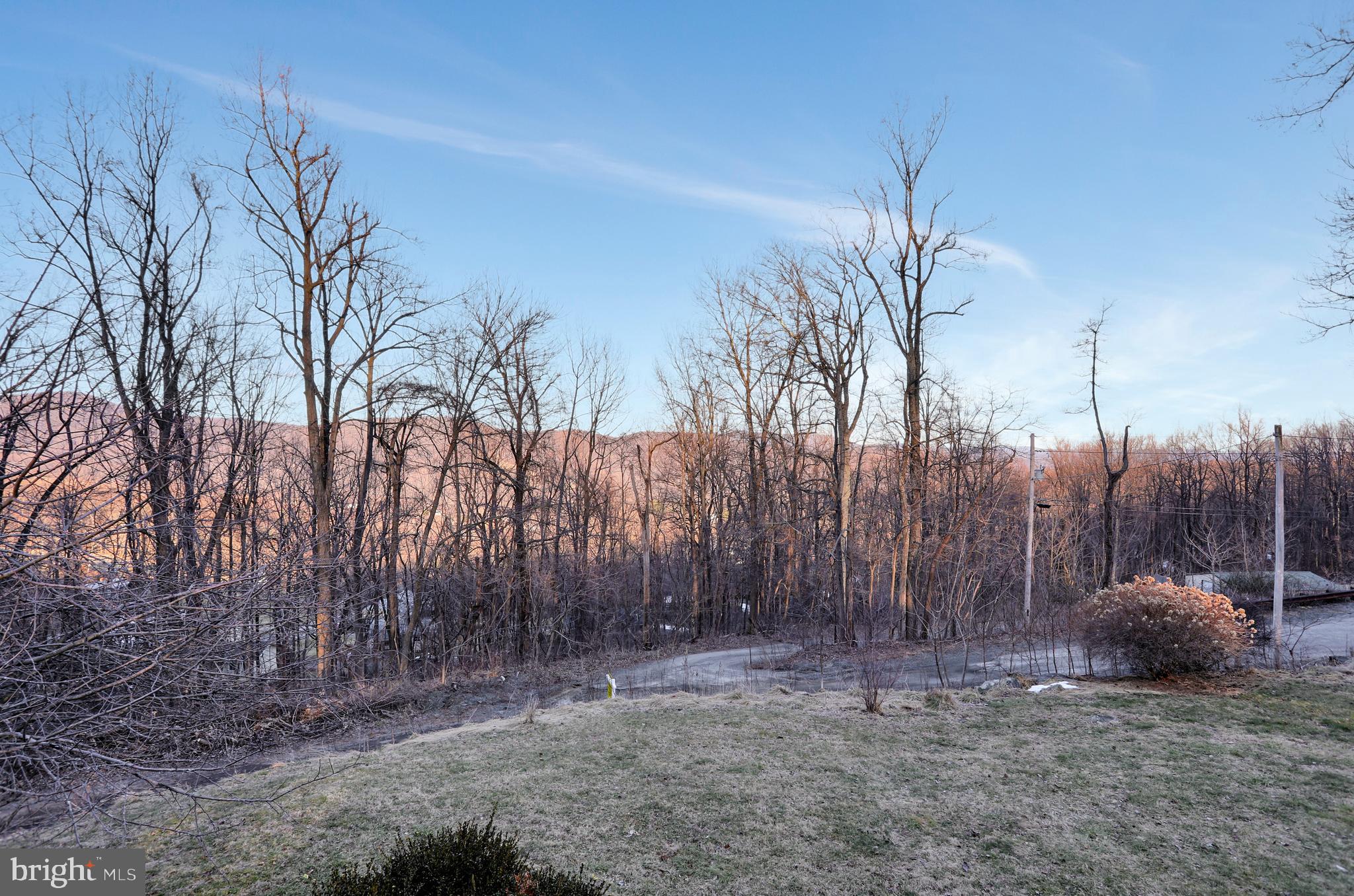 151 Blue Ridge Avenue Chester Gap, VA 22623 - Photo 39 of 47 Gallery Image 39