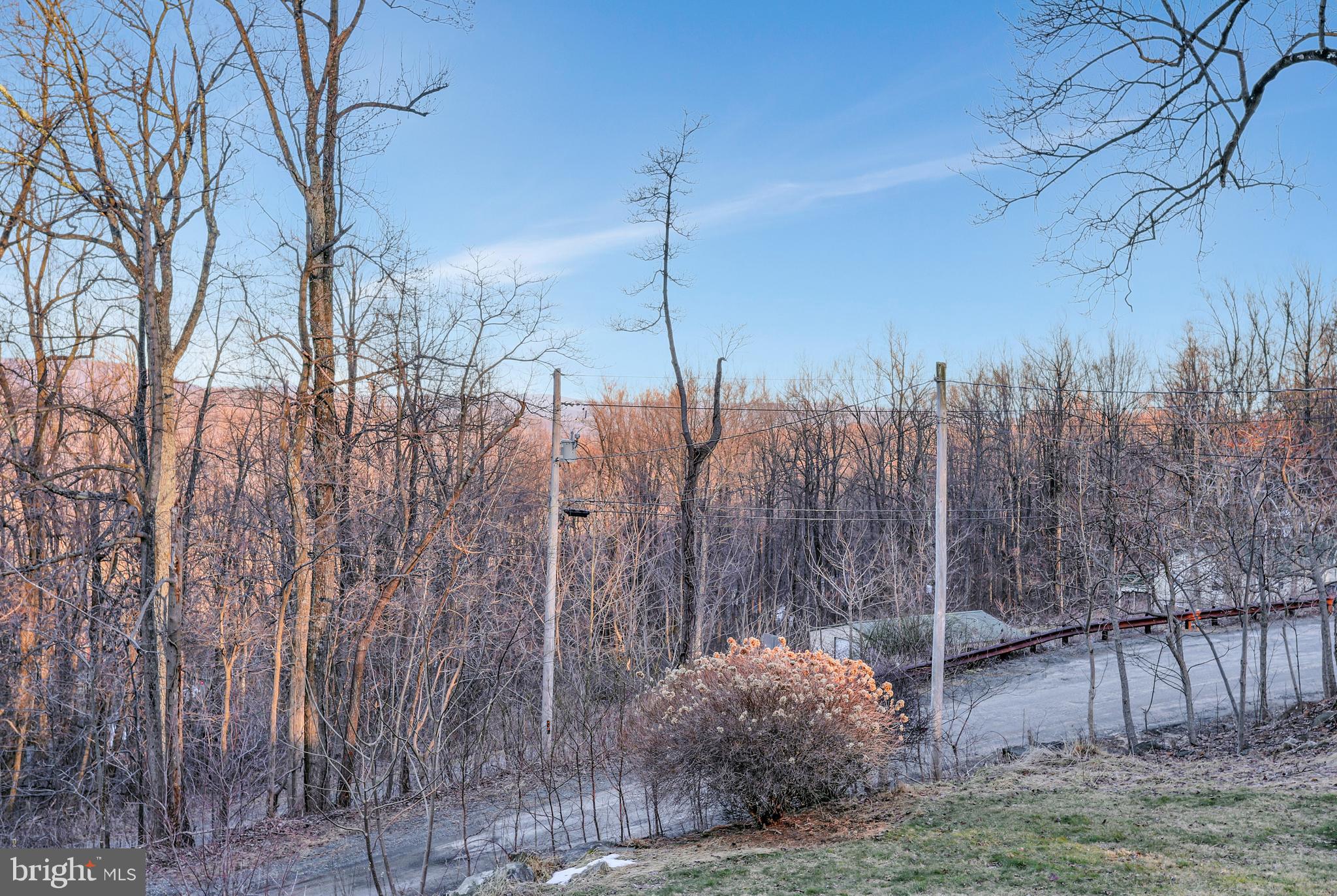 151 Blue Ridge Avenue Chester Gap, VA 22623 - Photo 41 of 47 Gallery Image 41