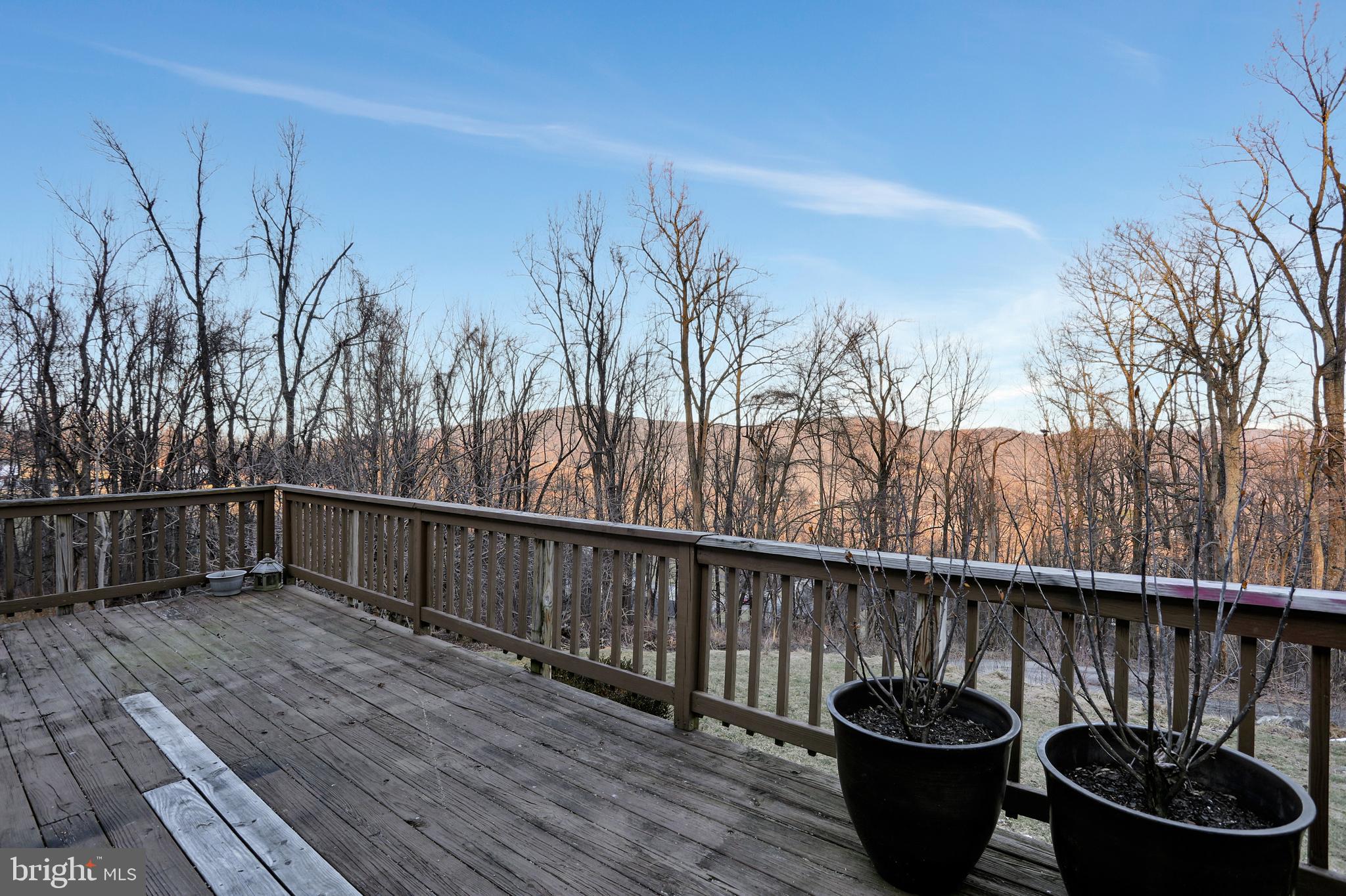 151 Blue Ridge Avenue Chester Gap, VA 22623 - Photo 42 of 47 Gallery Image 42