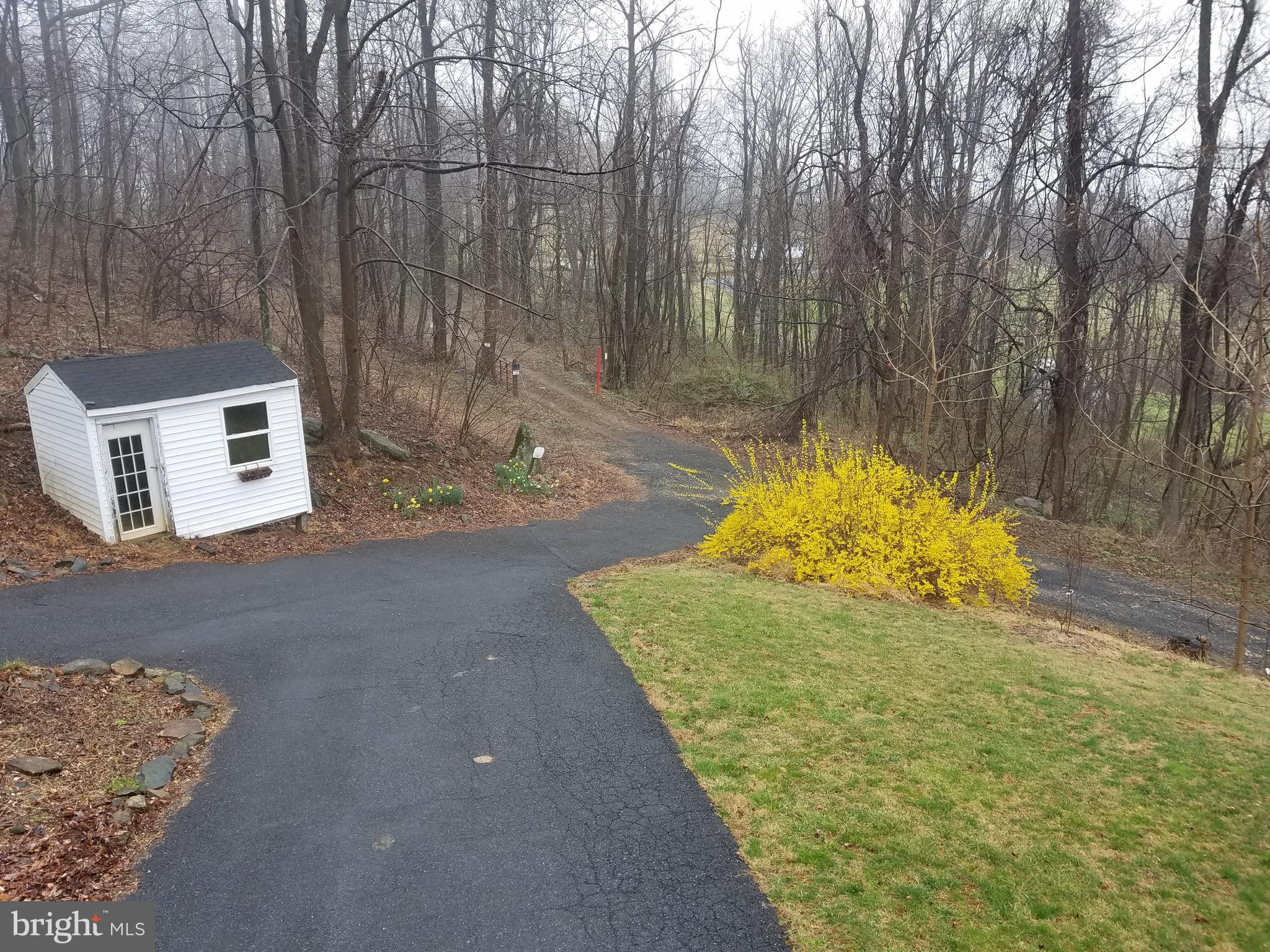 151 Blue Ridge Avenue Chester Gap, VA 22623 - Photo 6 of 47 Paved Split driveway Great for boat or RV