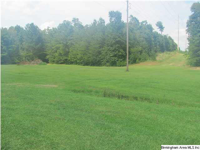 100 Cahaba Oaks Trail Pelham, AL 35124 - Photo 9 of 24