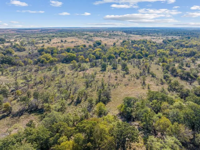 an aerial view of forest