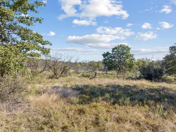 a view of a bunch of trees and bushes