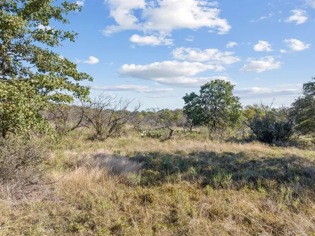 a view of a bunch of trees and bushes