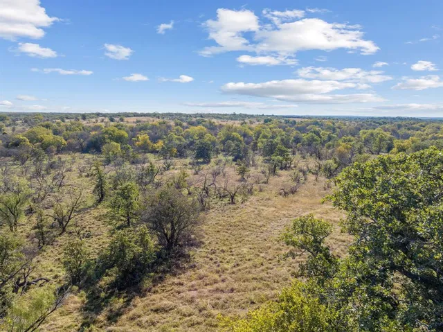 a view of a city with lots of bushes