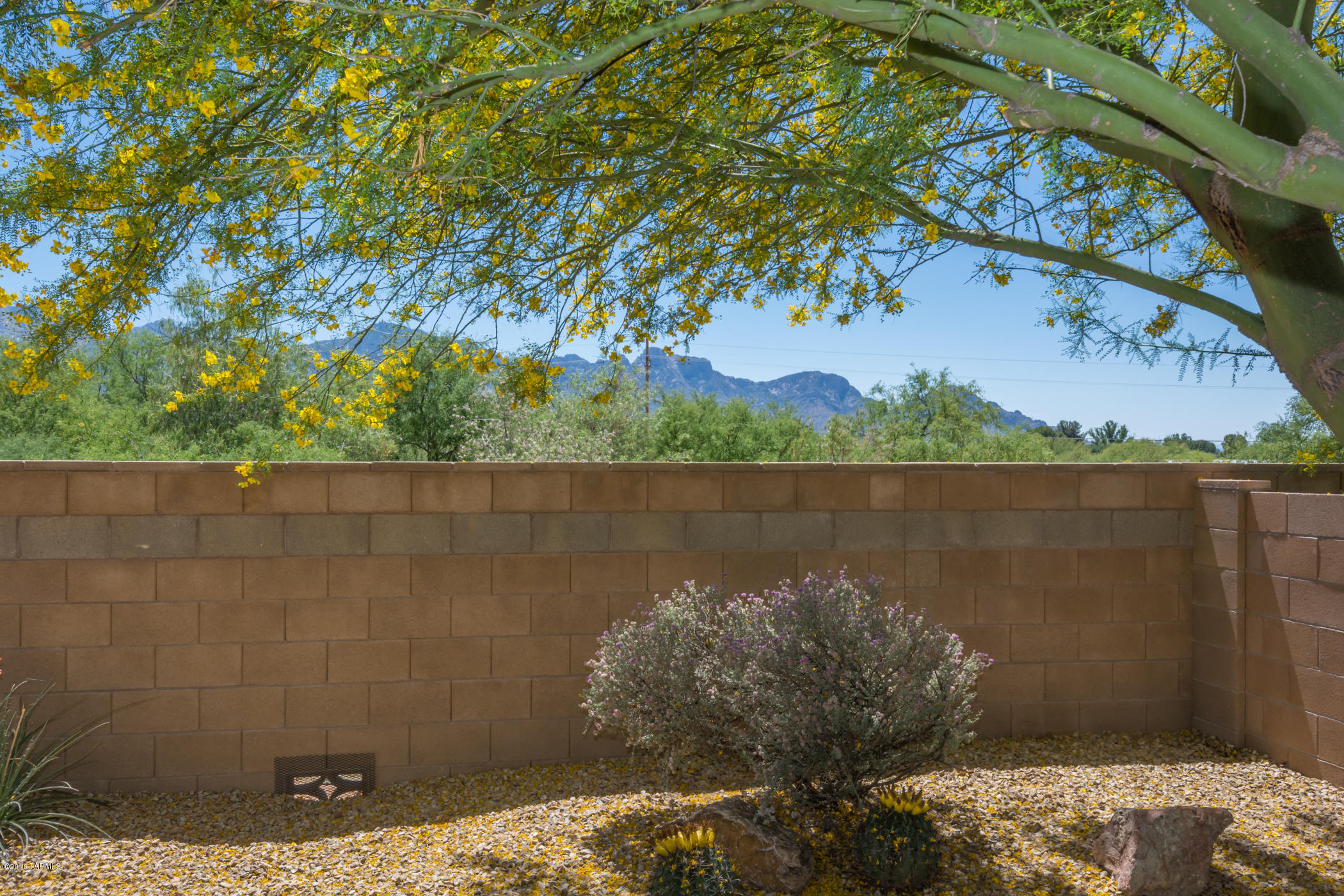 3652 East Northern Dancer Road Tucson, AZ 85739 - Photo 40 of 40