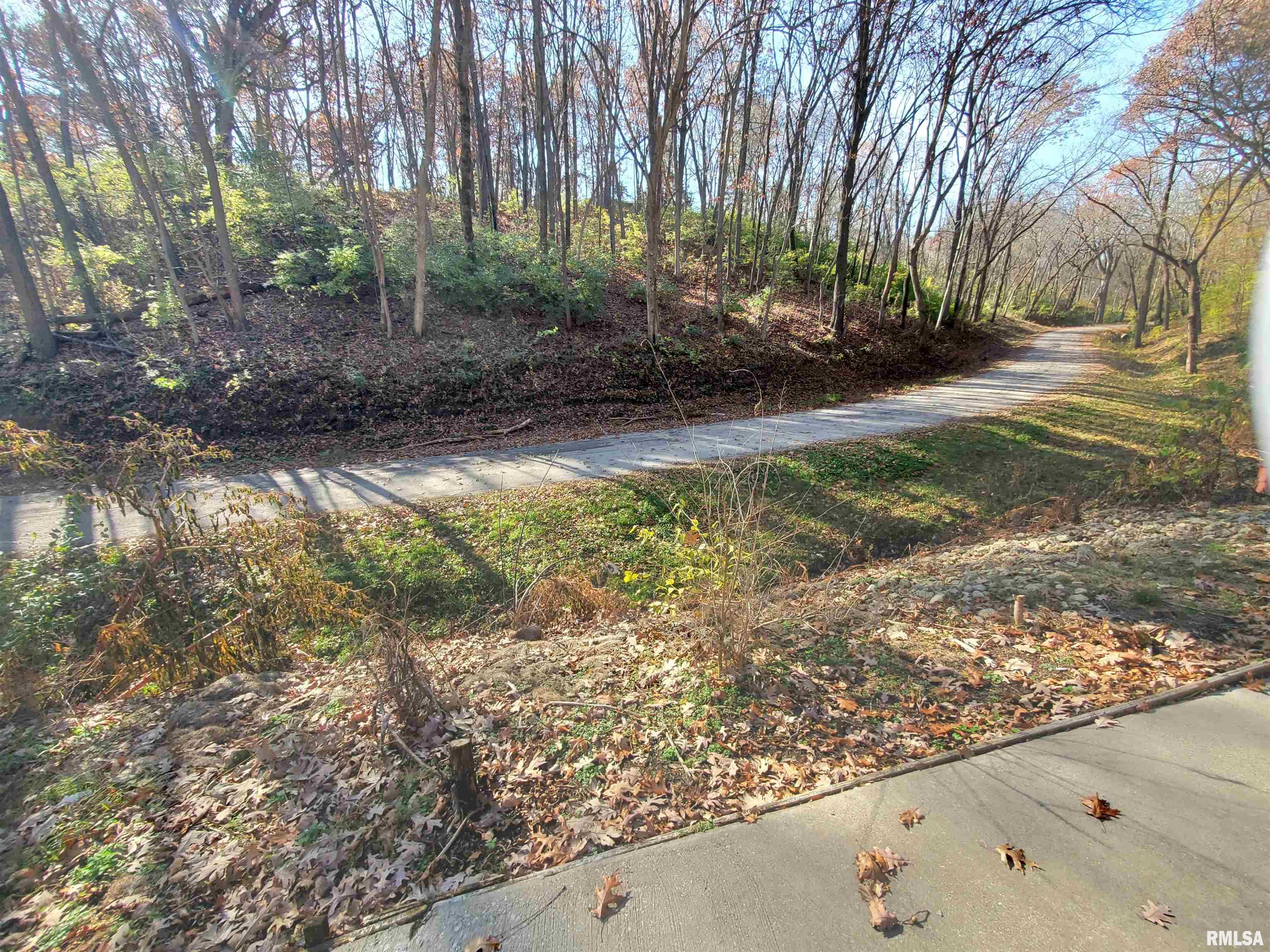 8096 Hazel Road Morrison, IL 61270 - Photo 3 of 12