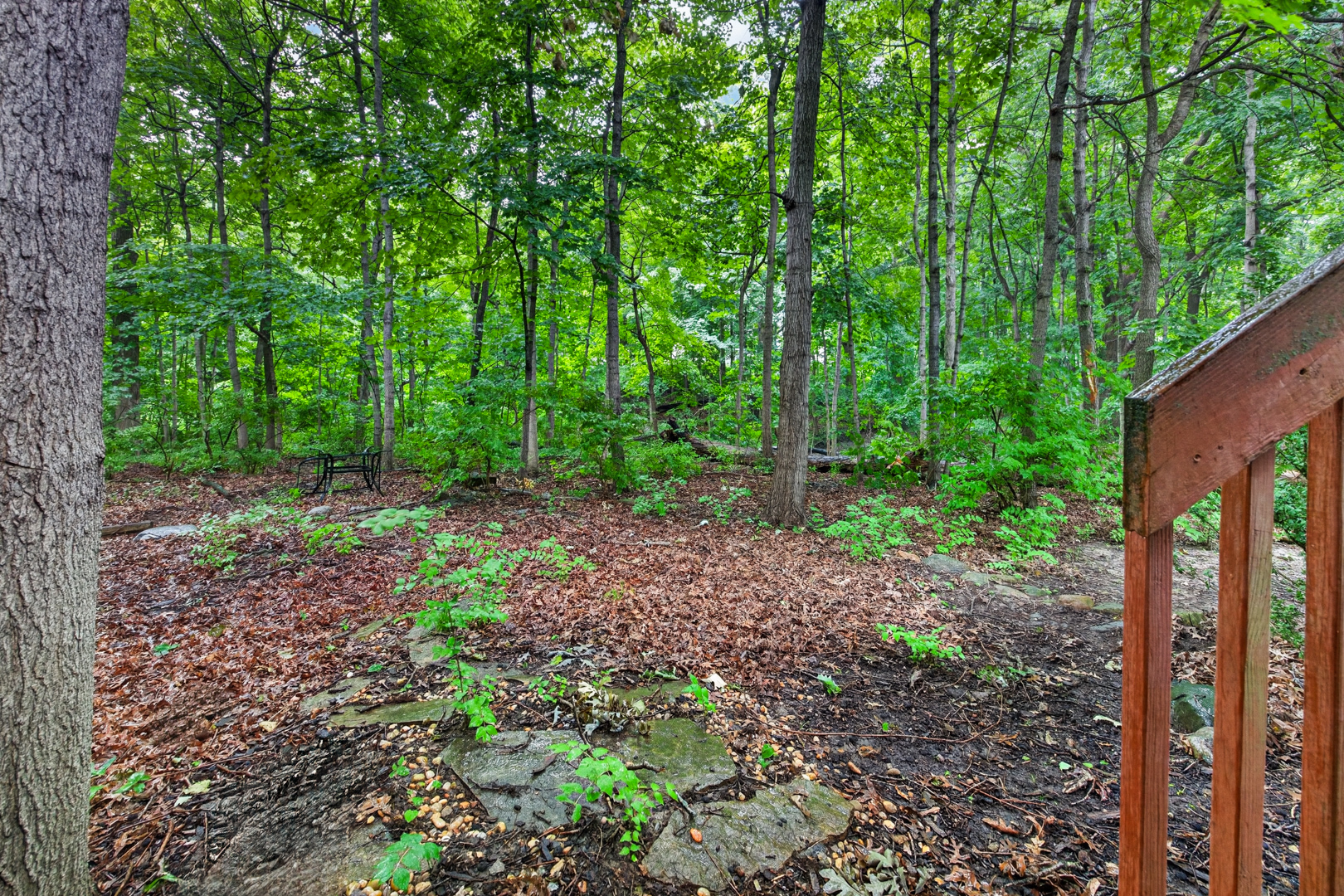 2 Scenic Point Bloomington, IL 61701 - Photo 54 of 56