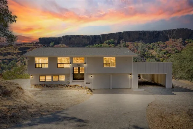 a view of a painting of a tree