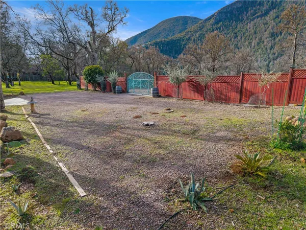 a view of a yard with plants and trees