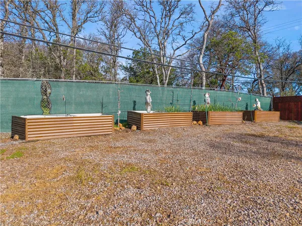 a park view with a bench