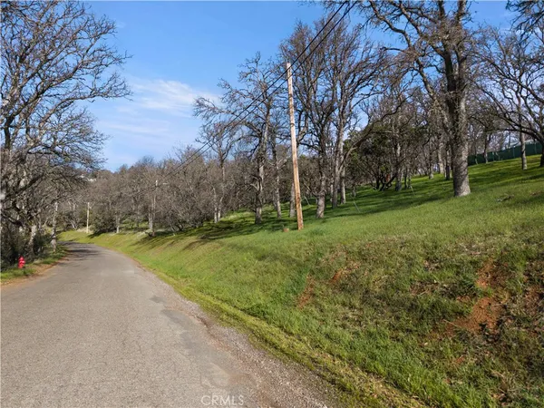 a view of a park with large trees