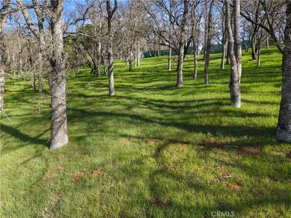 a view of a park with large trees