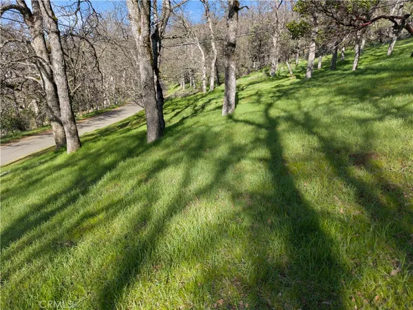 a view of yard with green space
