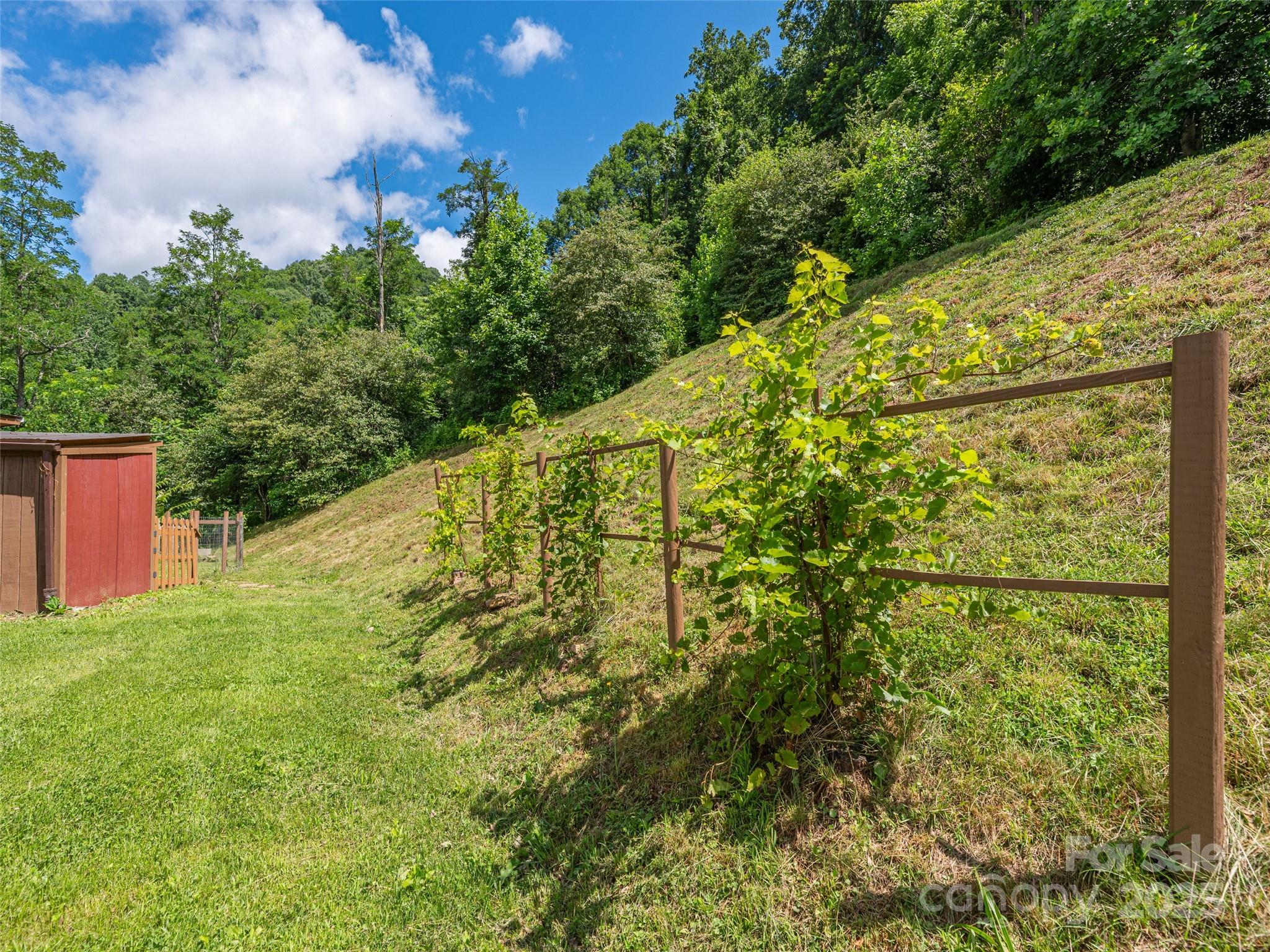 323 Morris Road Clyde, NC 28721 - Photo 23 of 43 Gallery Image 23
