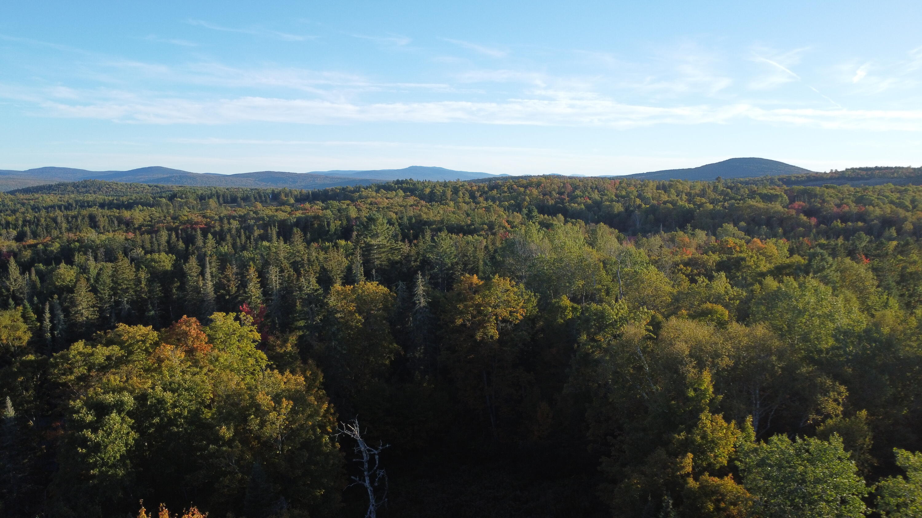 21 Quimby Farm Road Rangeley, ME 04970 - Photo 12 of 19 DJI_0008