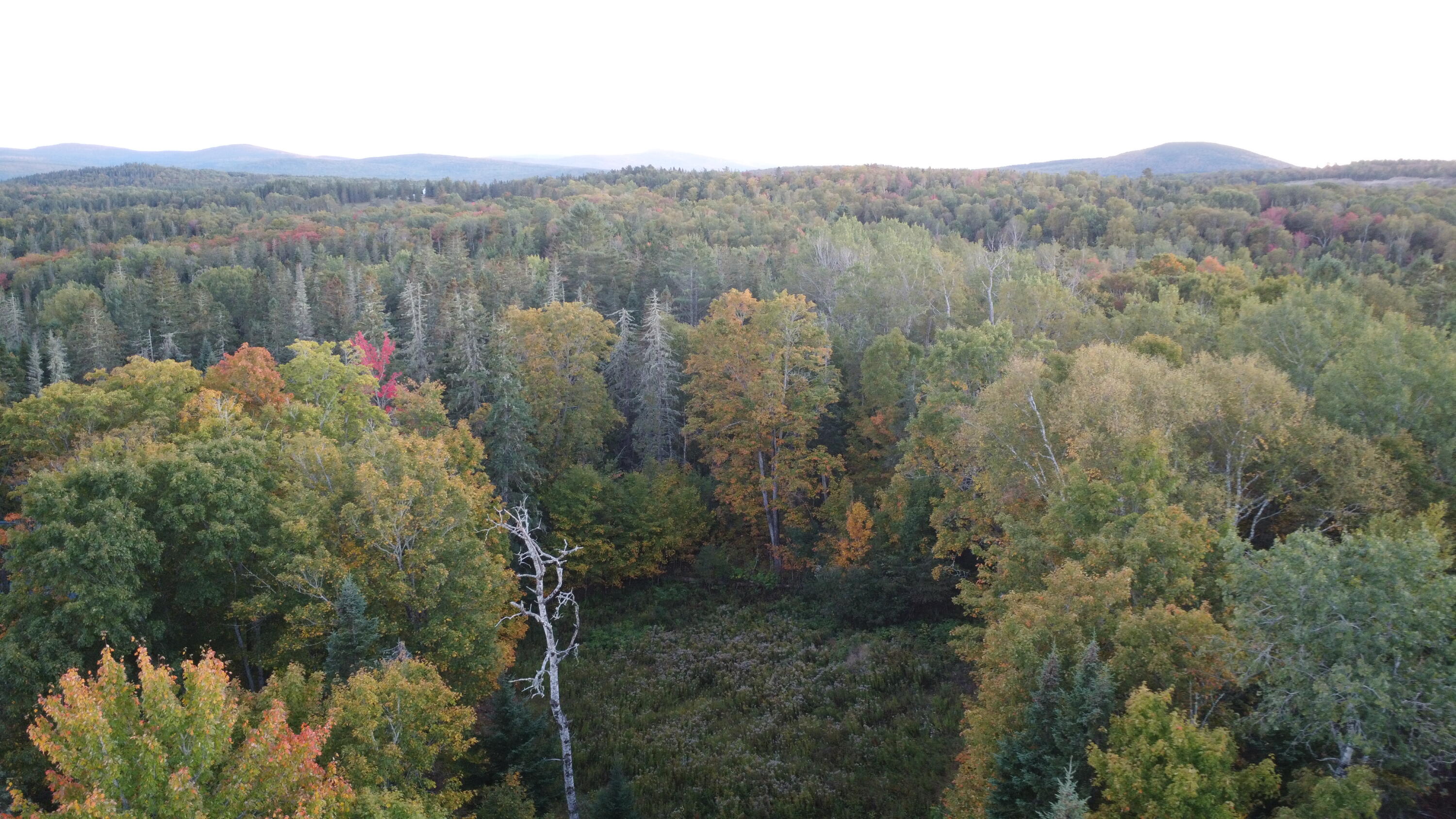 21 Quimby Farm Road Rangeley, ME 04970 - Photo 15 of 19 DJI_0021