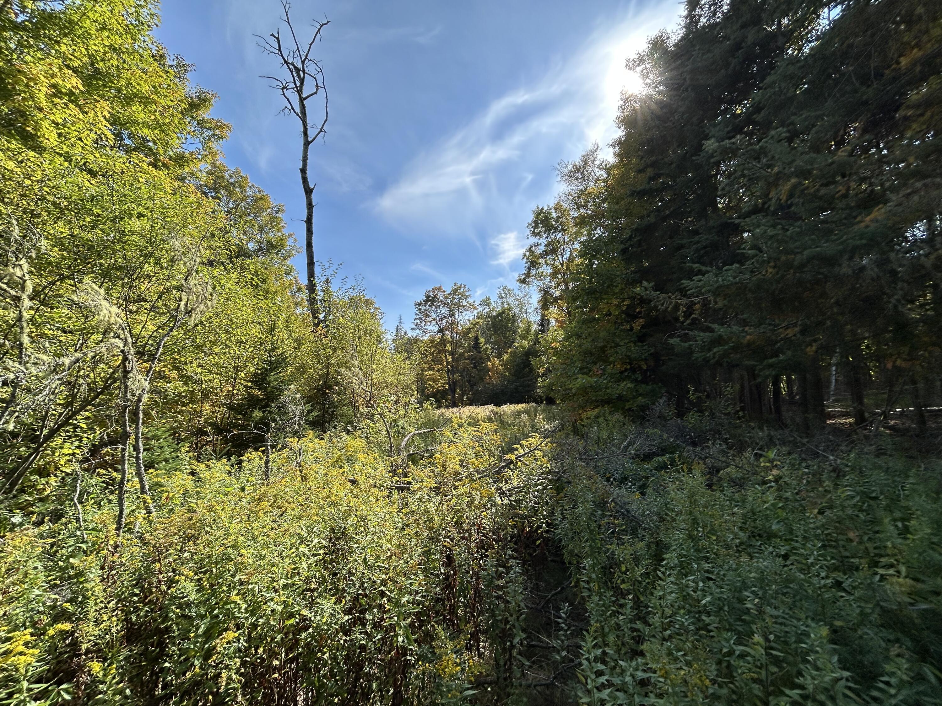 21 Quimby Farm Road Rangeley, ME 04970 - Photo 17 of 19 IMG_3084