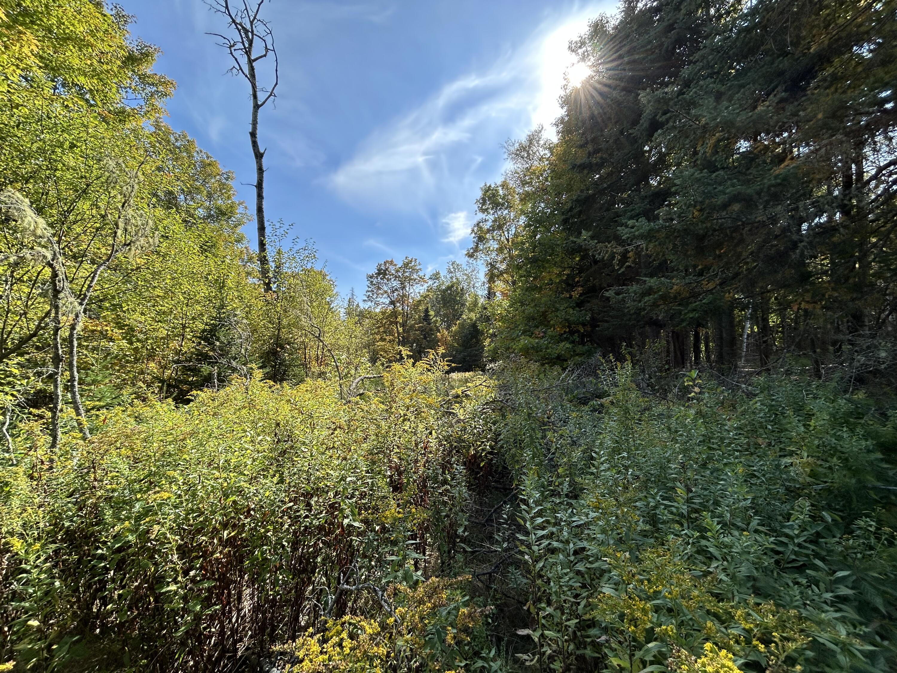 21 Quimby Farm Road Rangeley, ME 04970 - Photo 18 of 19 IMG_3083