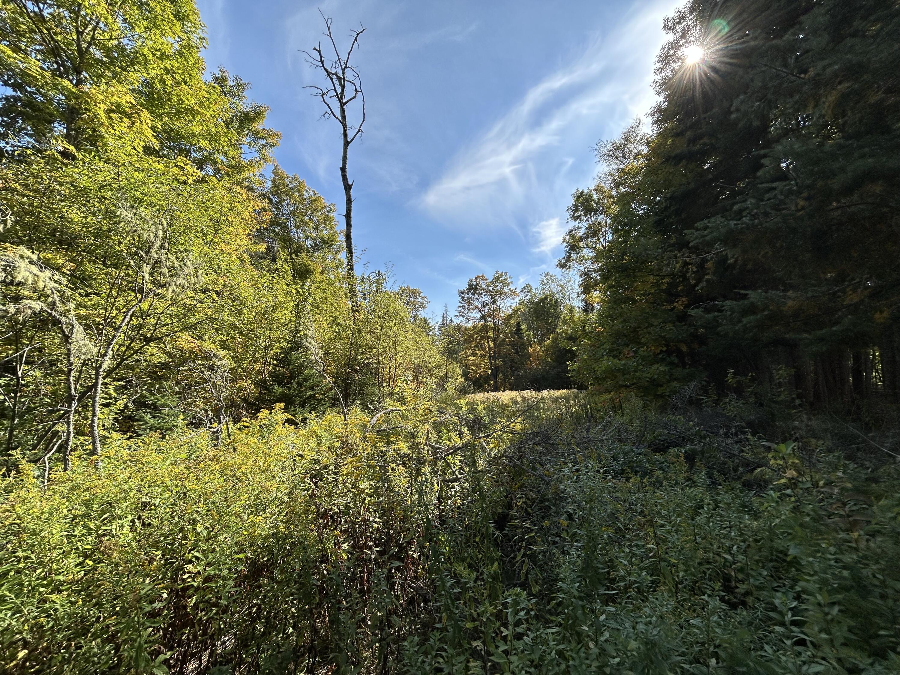 21 Quimby Farm Road Rangeley, ME 04970 - Photo 2 of 19 IMG_3085
