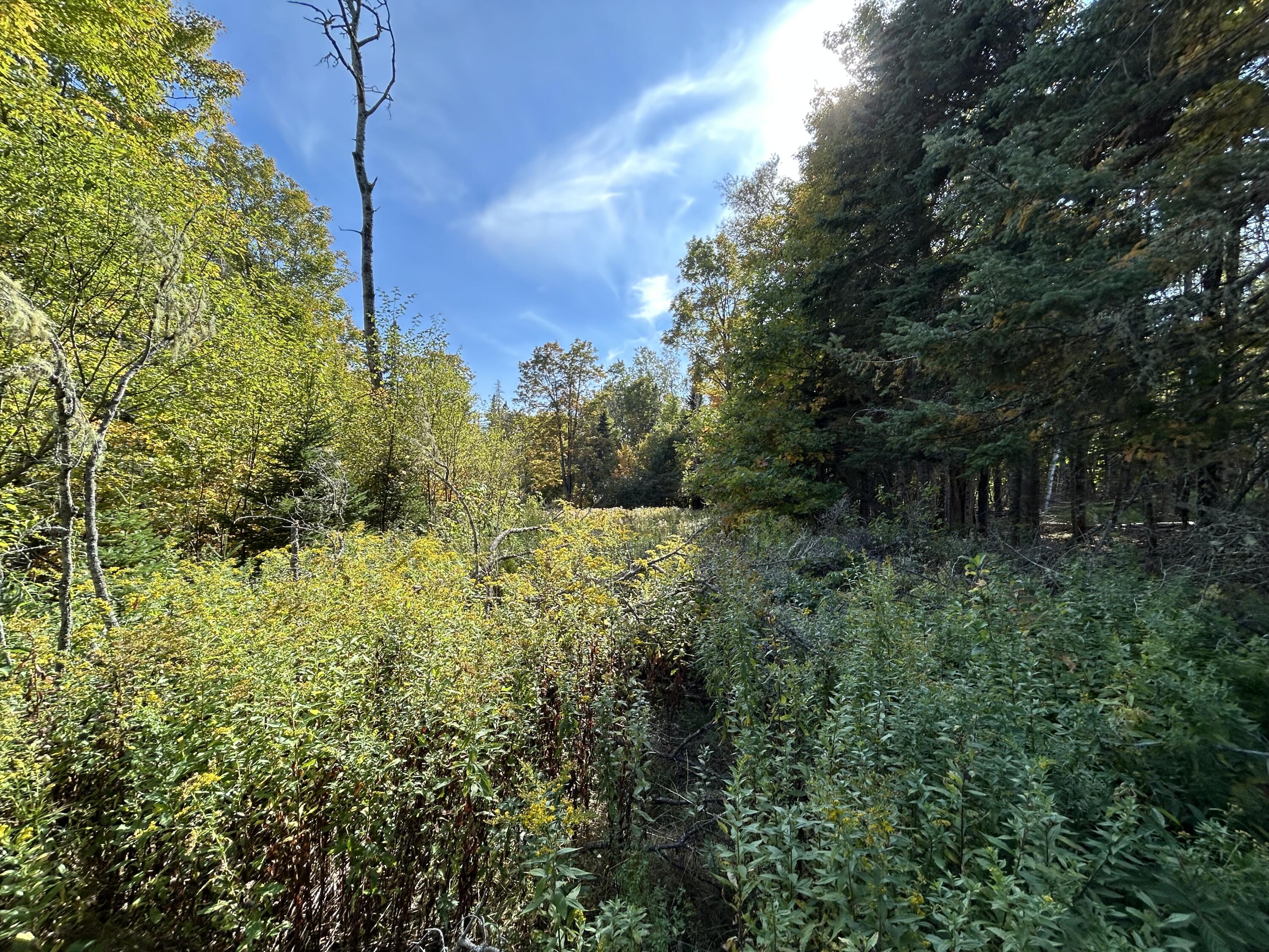 21 Quimby Farm Road Rangeley, ME 04970 - Photo 3 of 19 IMG_3082