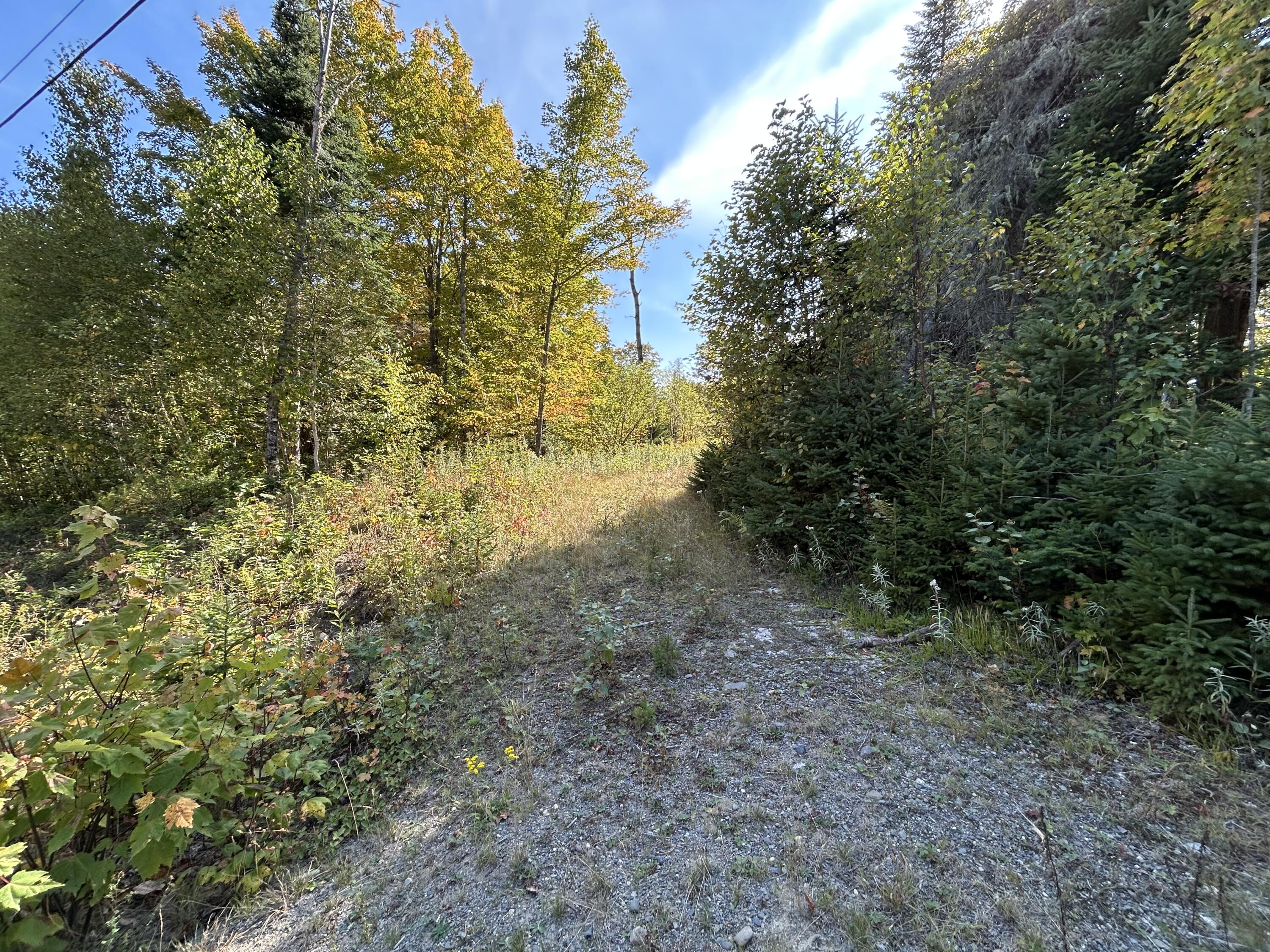 21 Quimby Farm Road Rangeley, ME 04970 - Photo 6 of 19 IMG_3081