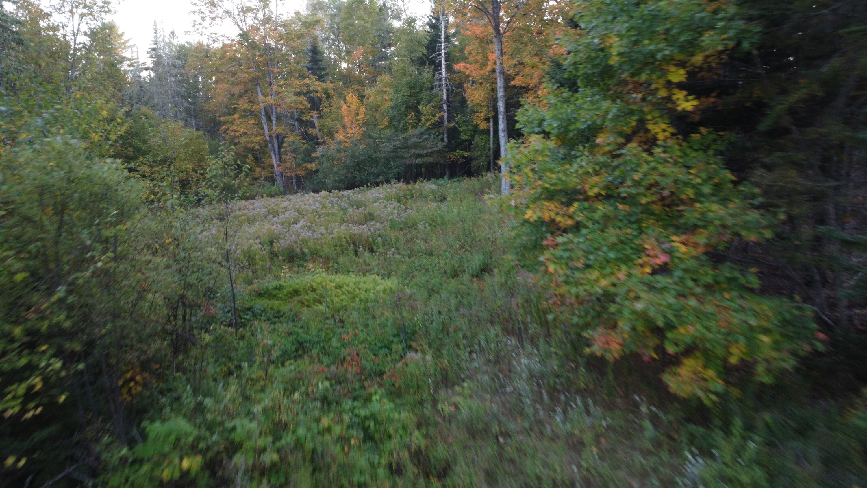 21 Quimby Farm Road Rangeley, ME 04970 - Photo 7 of 19 DJI_0012