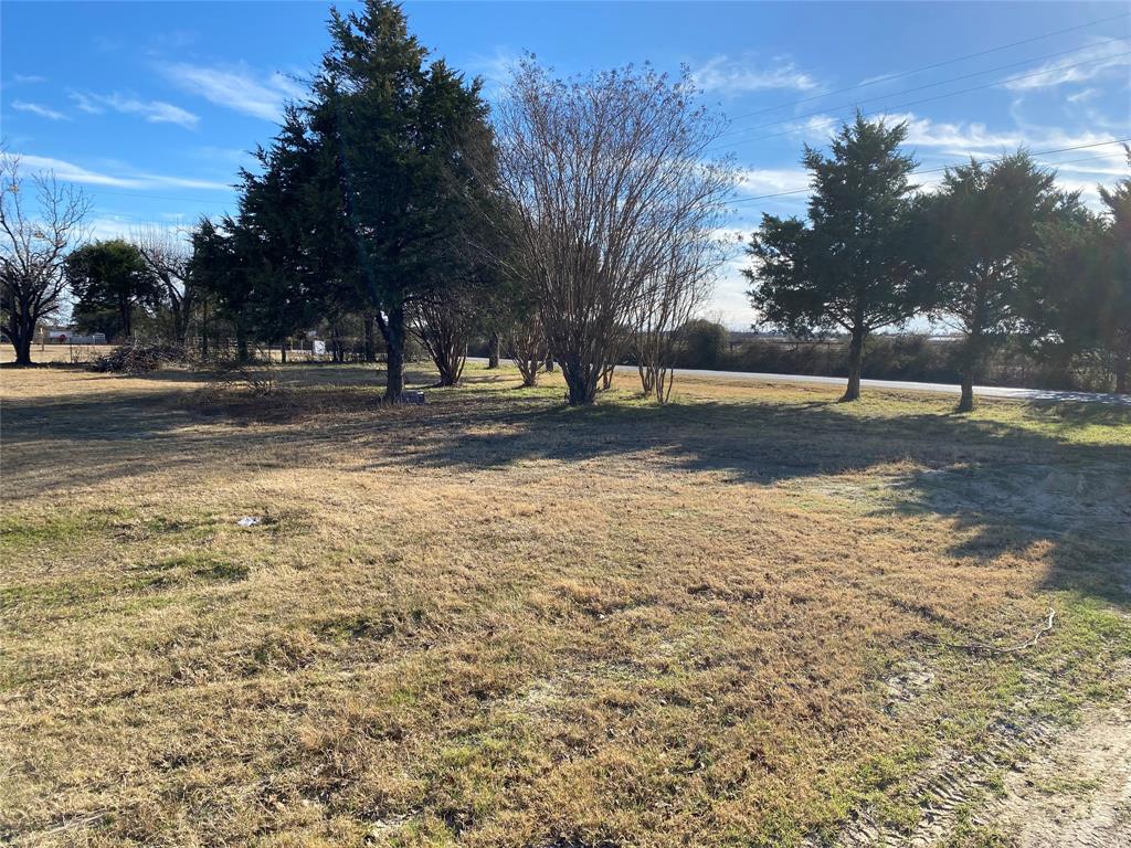 501 Billings Road Tolar, TX 76476 - Photo 18 of 22 a view of yard with trees