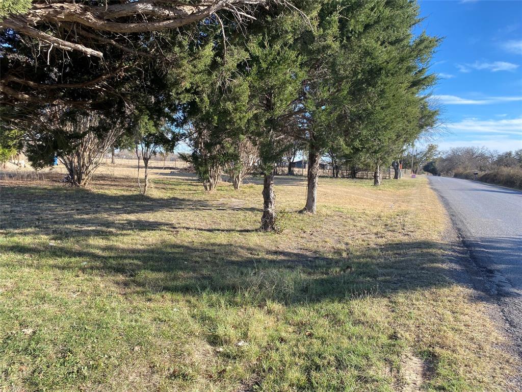 501 Billings Road Tolar, TX 76476 - Photo 19 of 22 a view of yard with trees