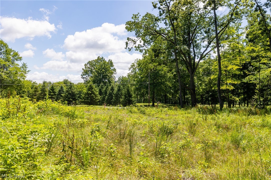Wayland Road Diamond, OH 44412 - Photo 3 of 20