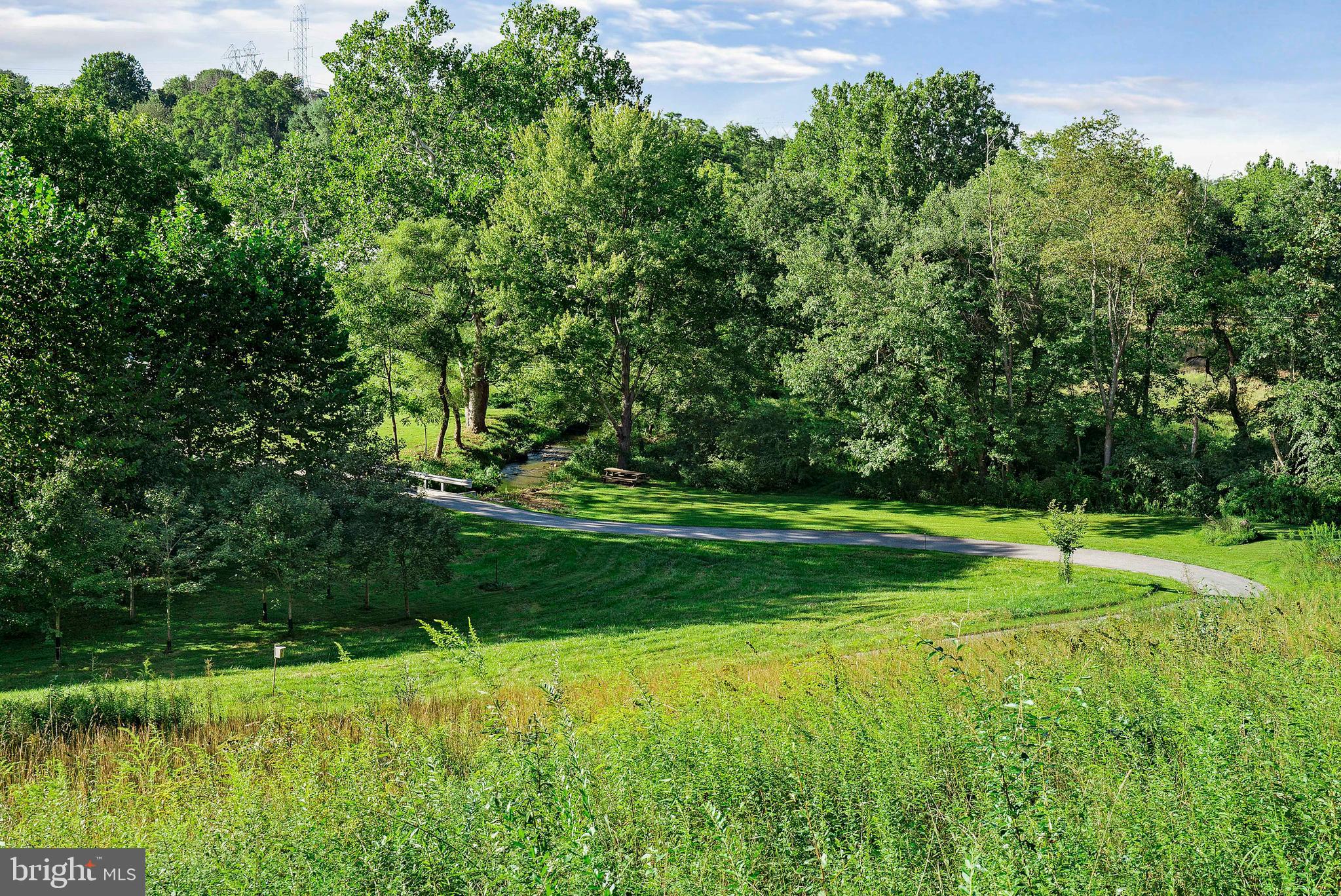 19401 Ensor Road White Hall, MD 21161 - Photo 22 of 90 Overlooking your own private park!