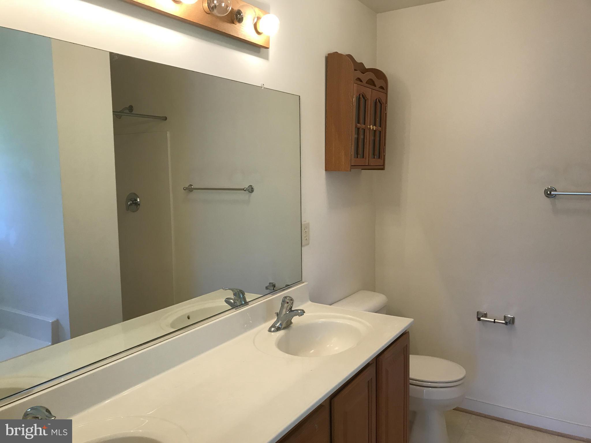 483 Carrs Bridge Road Bumpass, VA 23024 - Photo 14 of 23 Bath (Master)