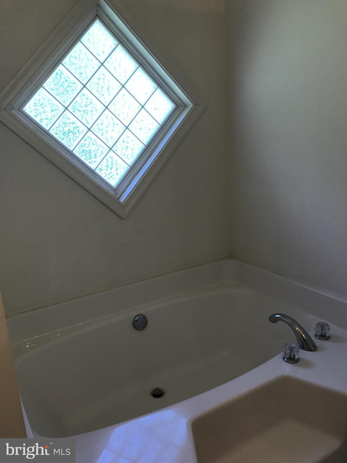 483 Carrs Bridge Road Bumpass, VA 23024 - Photo 15 of 23 Bath (Master)