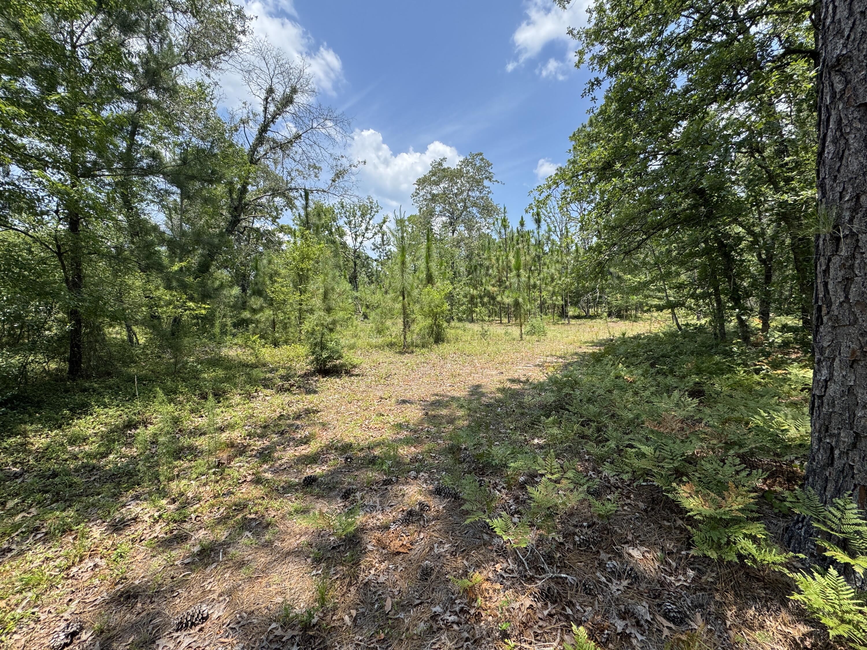 174 Hard Luck Lane Windsor, SC 29856 - Photo 22 of 27