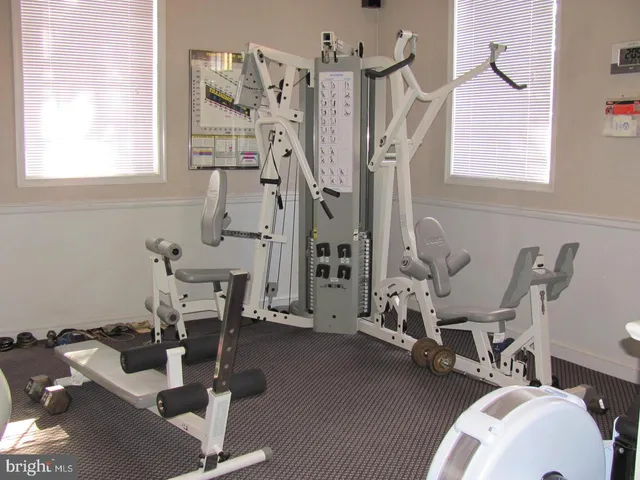swimming pool view with a garden and plants