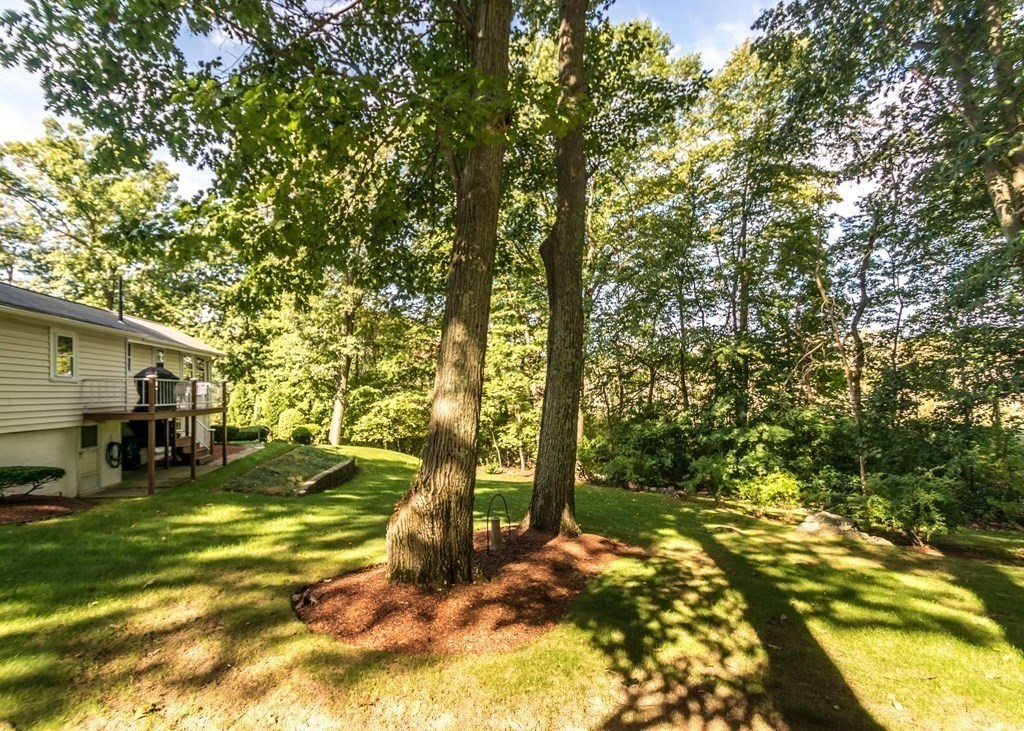 1393 Trapelo Road Waltham, MA 02451 - Photo 32 of 37