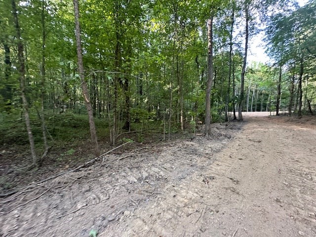 8 Sales Landing Road Camden, TN 38320 - Photo 11 of 31 a view of outdoor space with trees
